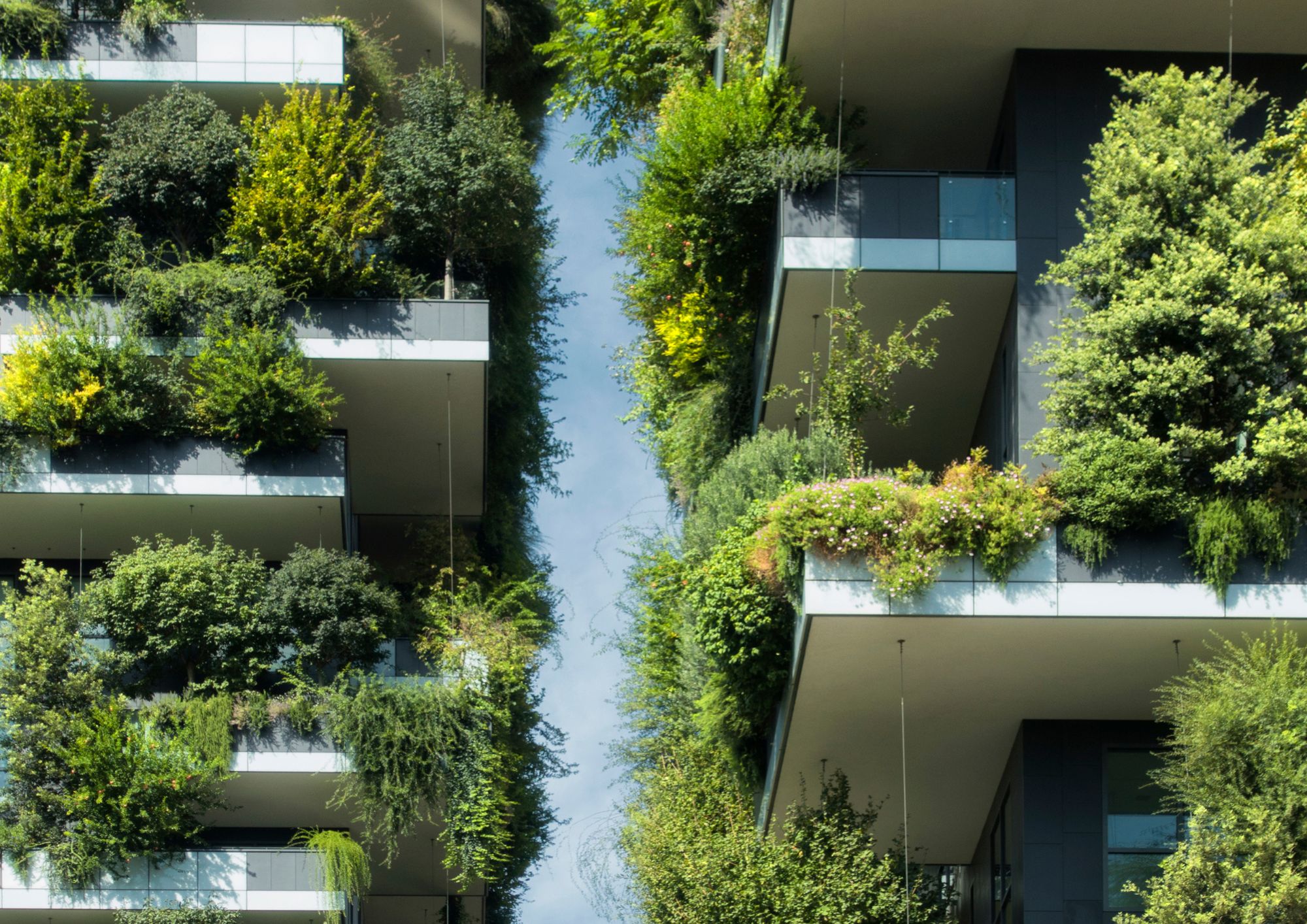 Construcción sostenible Cerdanyola del Vallès 4